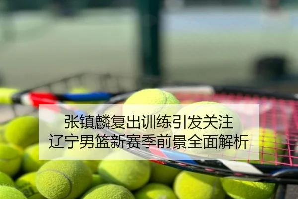 张镇麟复出训练引发关注 辽宁男篮新赛季前景全面解析